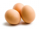 Продажа яиц куриных оптом как бизнес